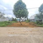 bán lô l5 mỹ phước 3